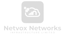 netvox-logo-transparent-1-1